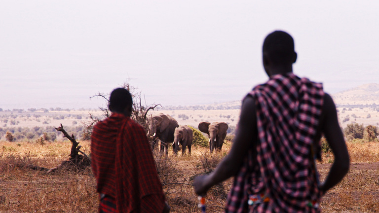 Role of Local Communities in Wildlife Preservation