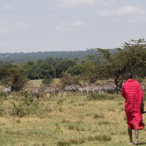 Role of Local Communities in Wildlife Preservation