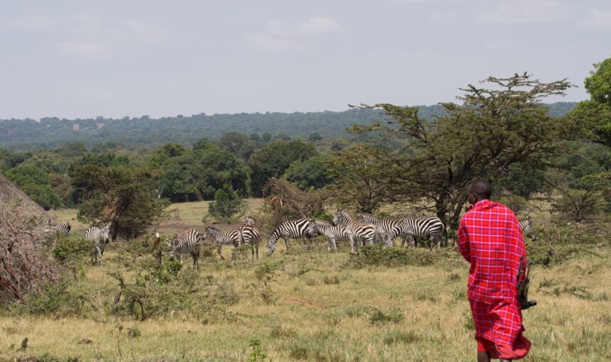 The Role of Local Communities in Wildlife Preservation