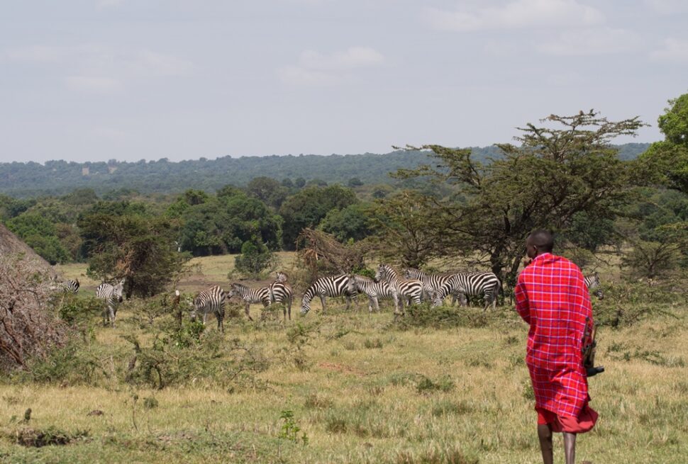 Role of Local Communities in Wildlife Preservation