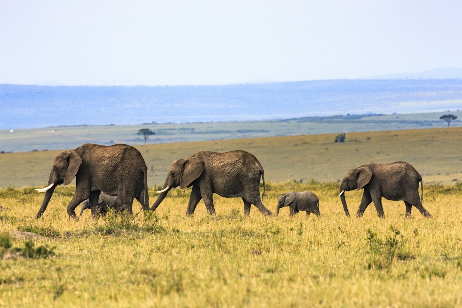 The Importance of Sustainable Tourism in Africa