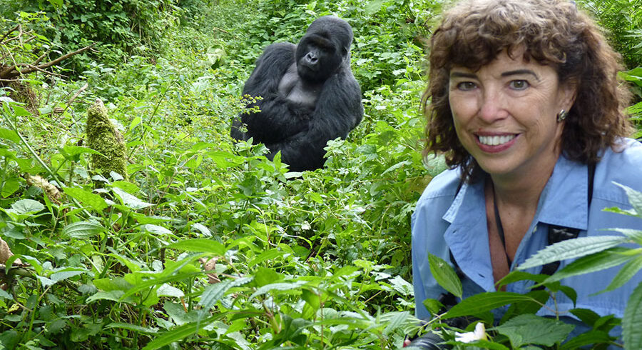 5 Days Gorilla Trekking Uganda