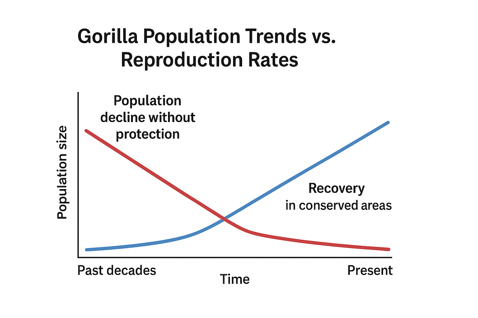 Silverback Gorilla Population Trends vs. Reproduction Rates