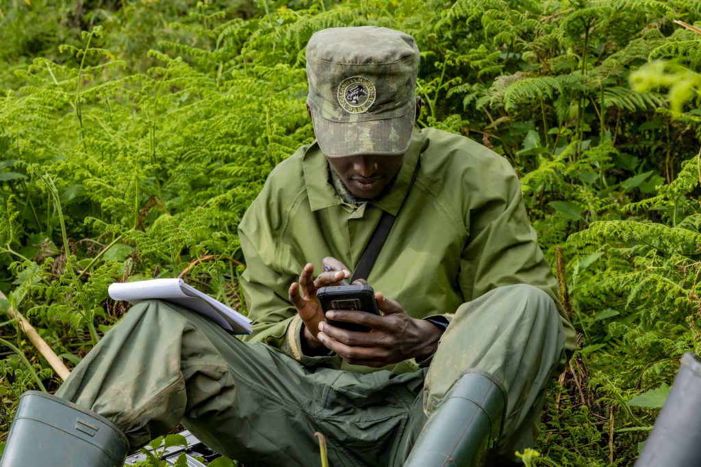 Gorilla Ranger Protection Success Stories