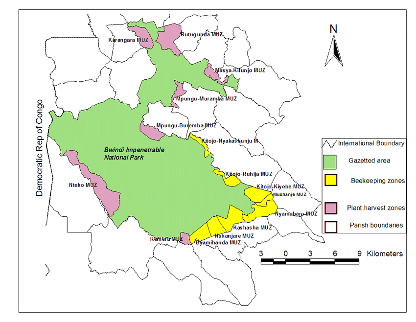 Bwindi Impenetrable Forest Map Breakdown