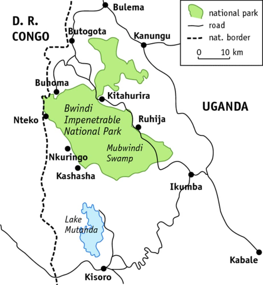 Geography and Biodiversity of Bwindi Impenetrable Forest