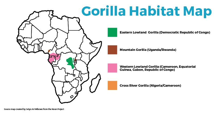 Silverback Gorilla Habitats Map