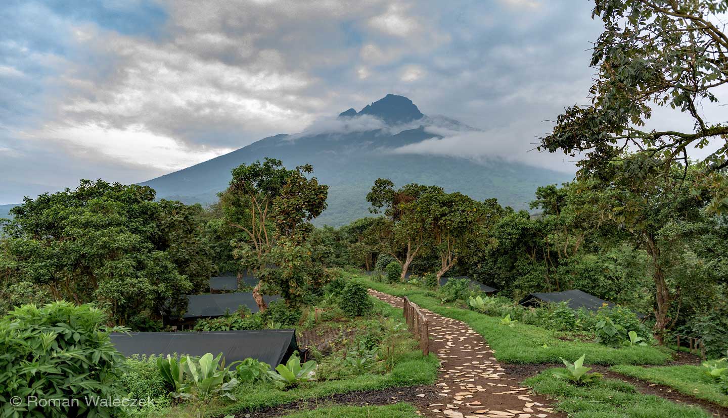 Virunga Volcano Mountains