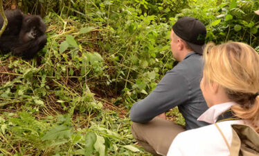 6 Days Rwanda Wildlife Safari