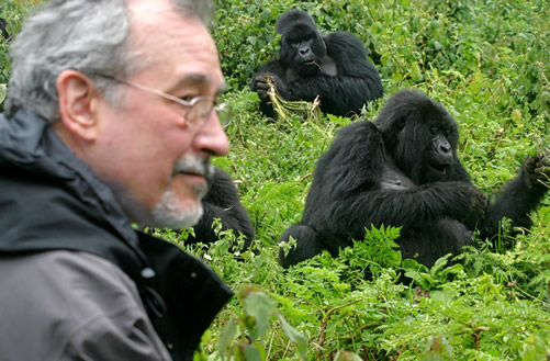 5 Days Uganda Congo Gorilla Tour
