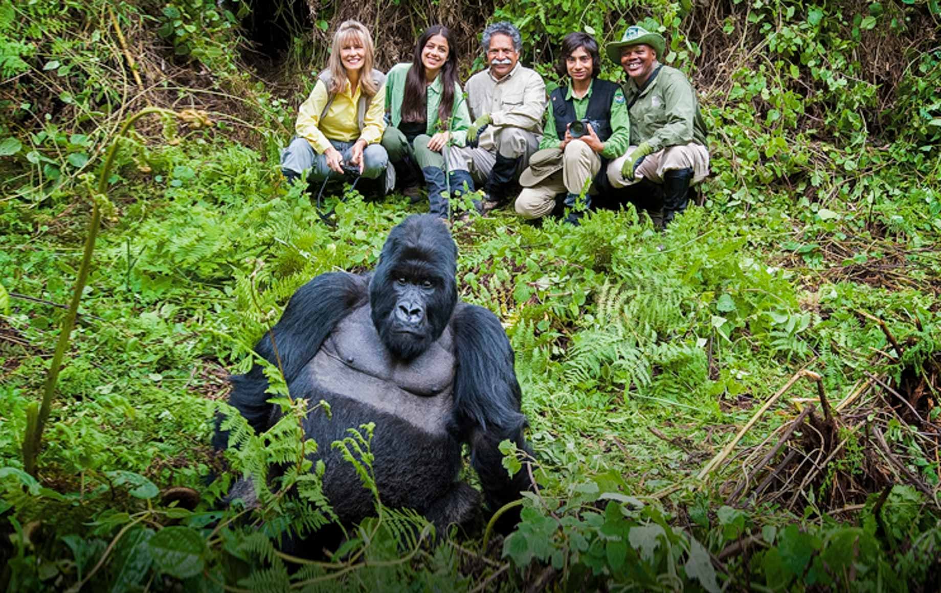 Gorilla Trekking Tourism Uganda & Rwanda