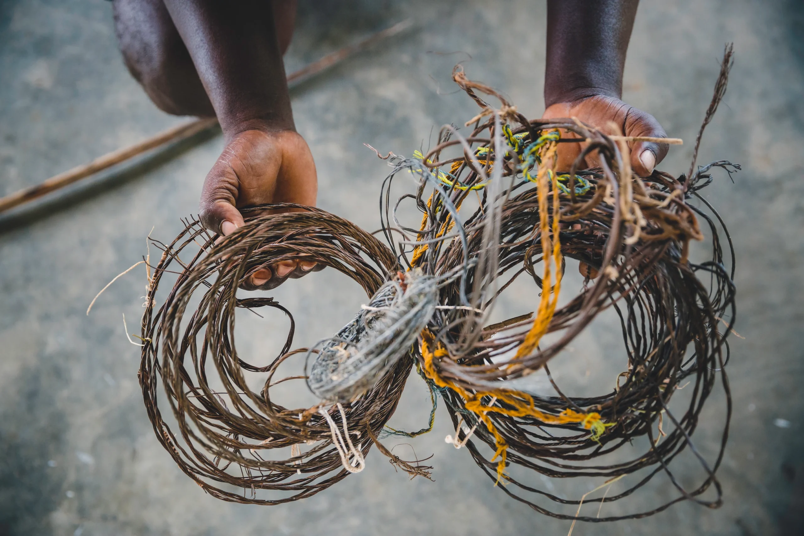 rangers removing snares to protect gorilla families: