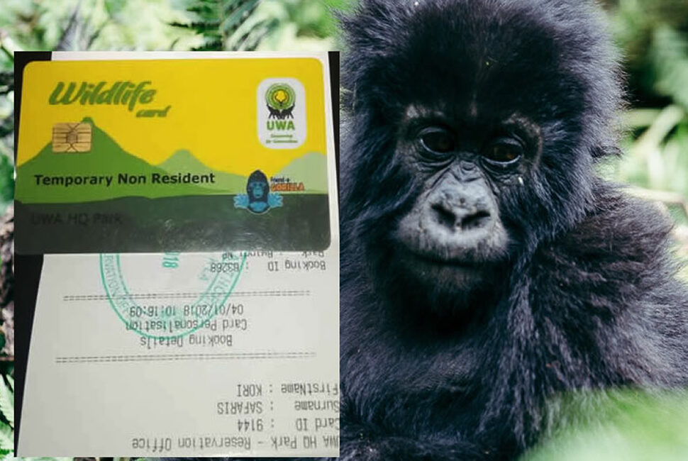 Uganda Gorilla Trekking Permits