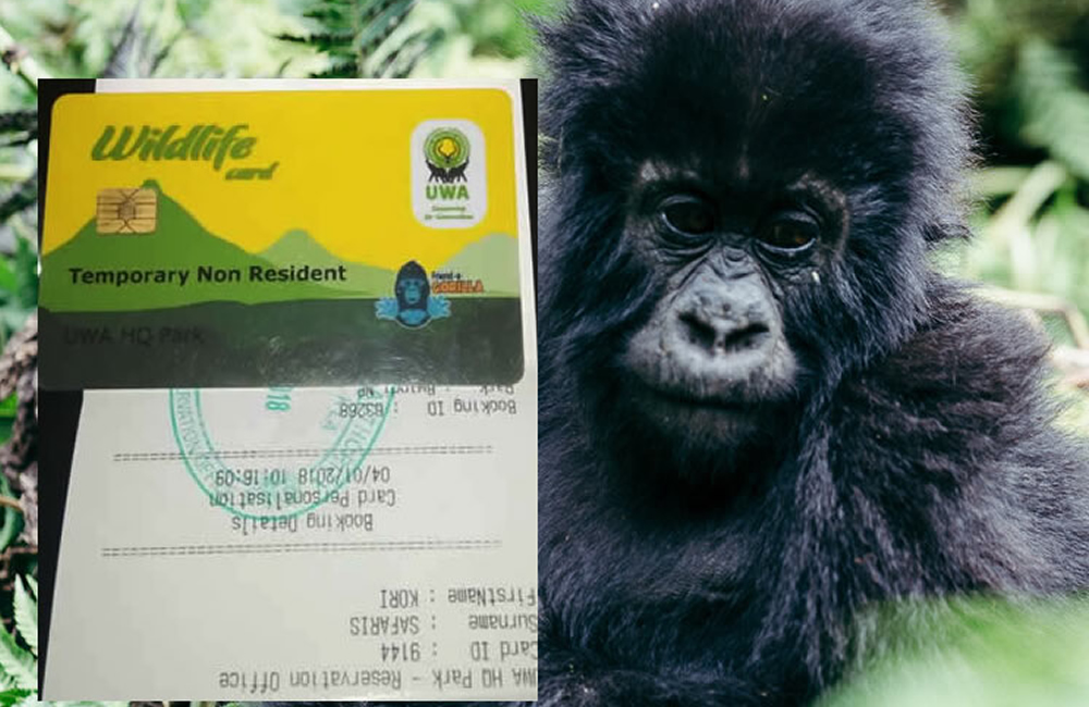 Uganda Gorilla Trekking Permits