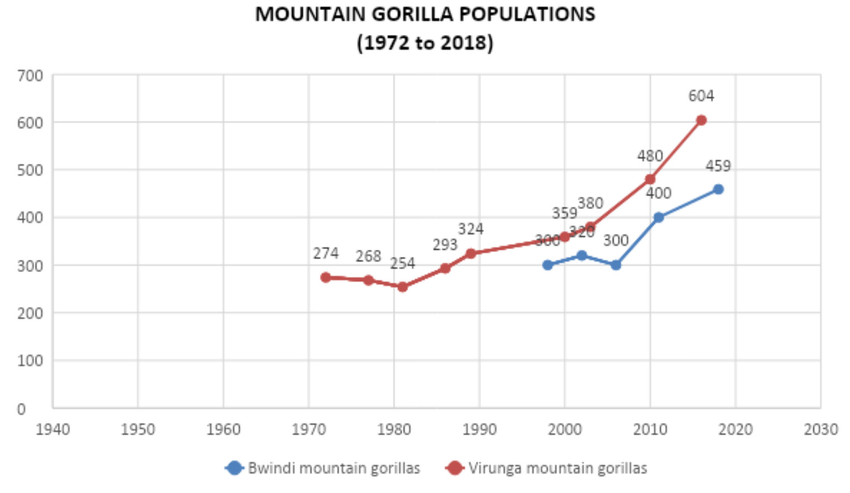Mountain Gorillas Populations