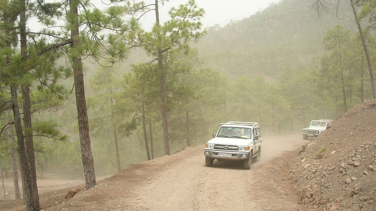 Cost of Entebbe to Bwindi Safari