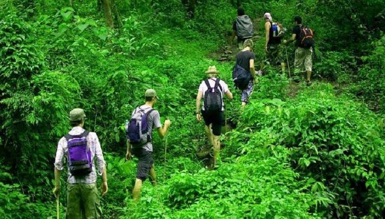 Gorilla Trekking Difficulty Level