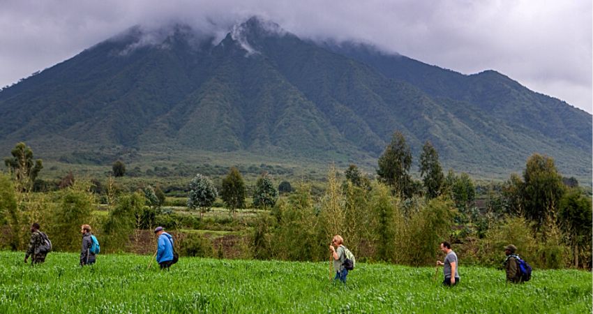 Best Time to Visit Volcanoes National Park