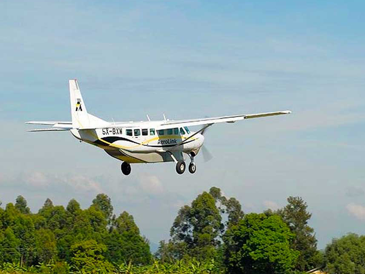 4 Days Flying Gorilla Trekking and Wildlife 