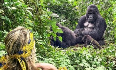 7 Days Uganda Primate Safari