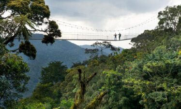 Amazing 8 days rwanda safari