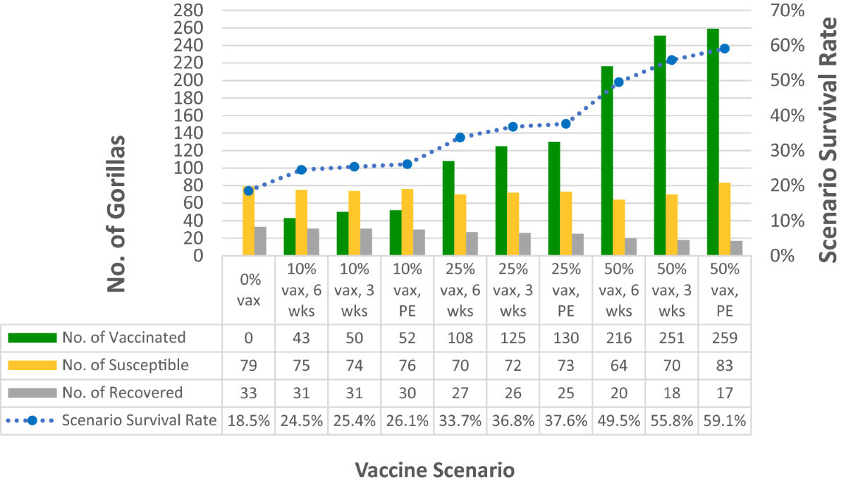 Ebola Impact On Gorilla Population