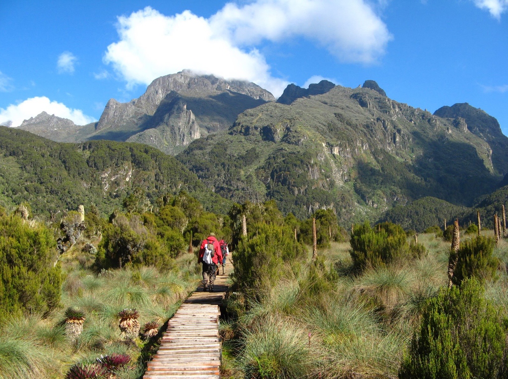 Rwenzori Mountains Uganda