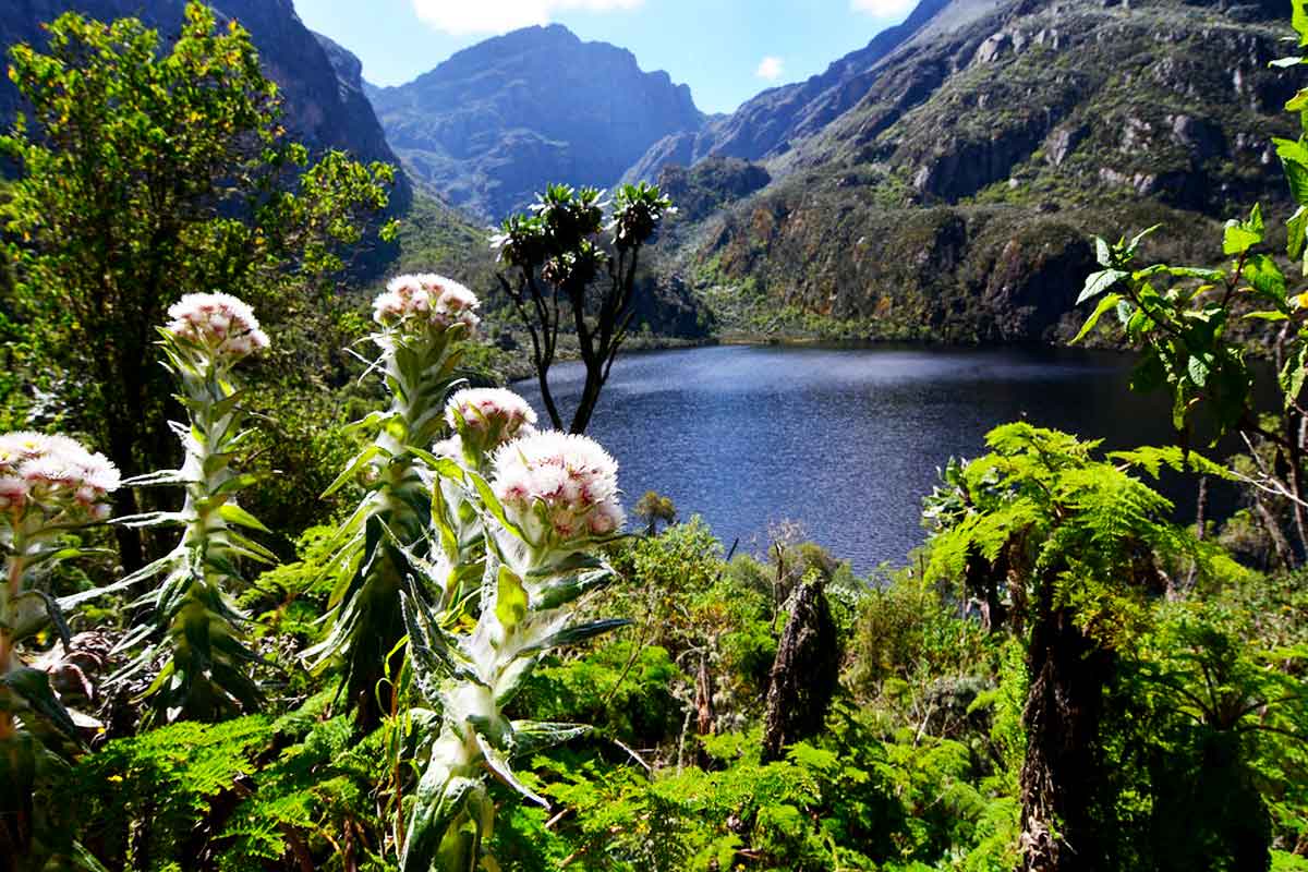 Why Visit the Rwenzori Mountains?