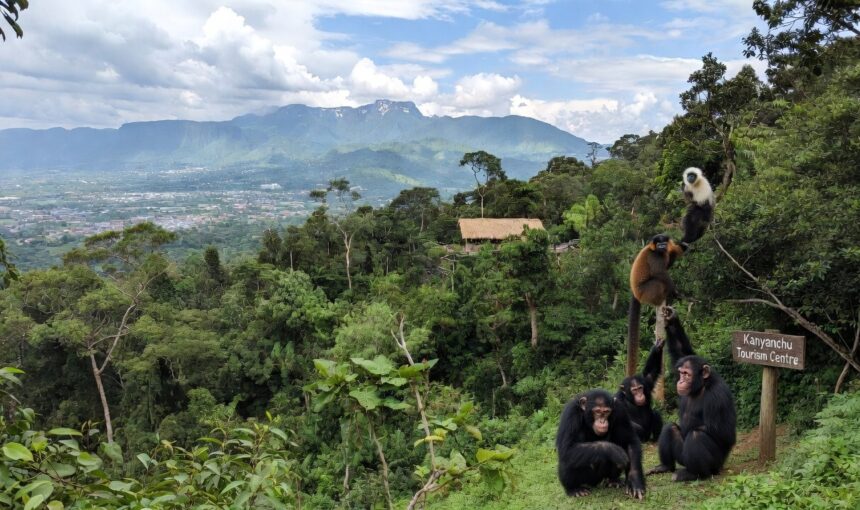 Kibale National Park Location