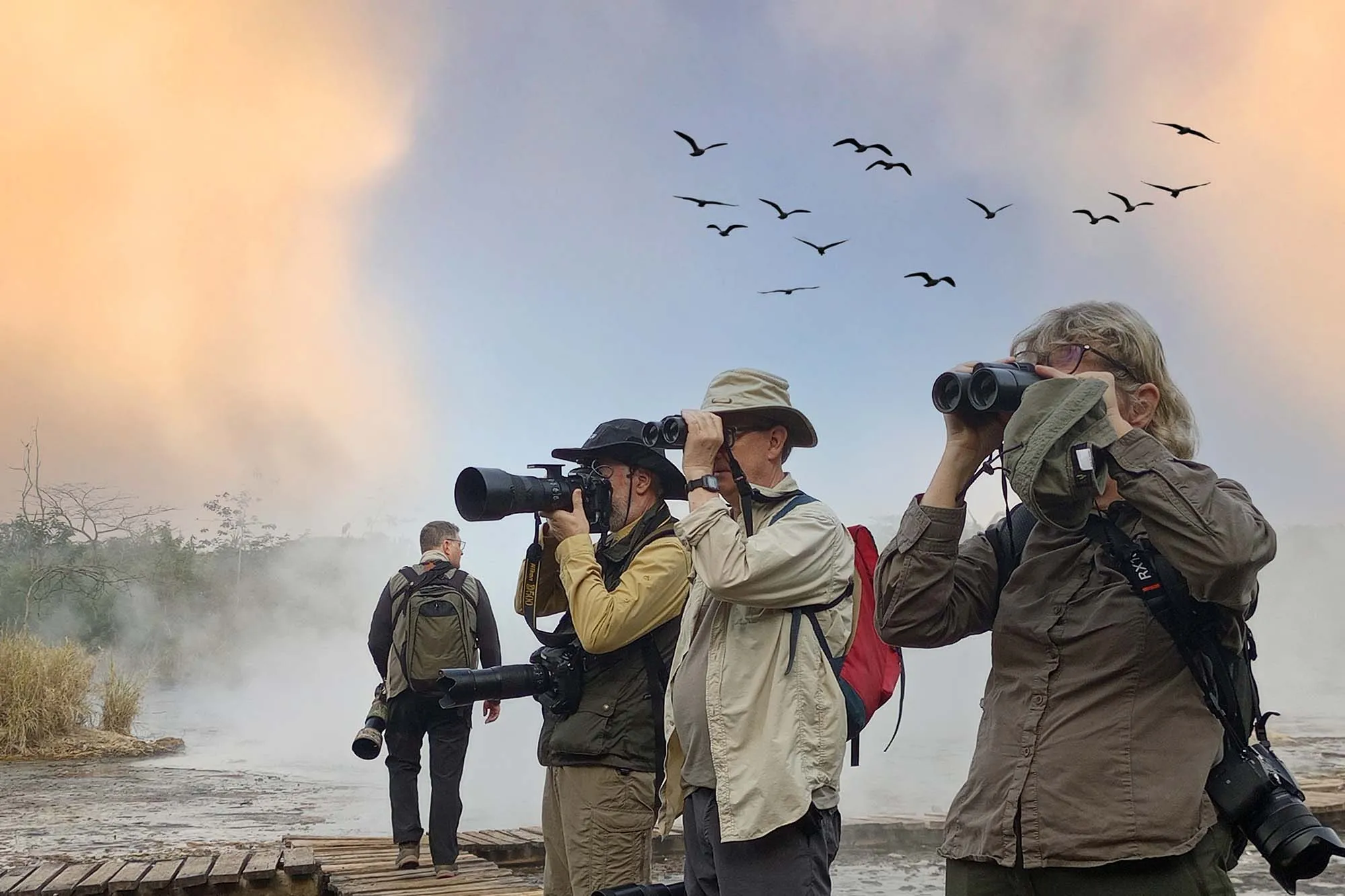 What is the Best Time for Bird Watching in Uganda