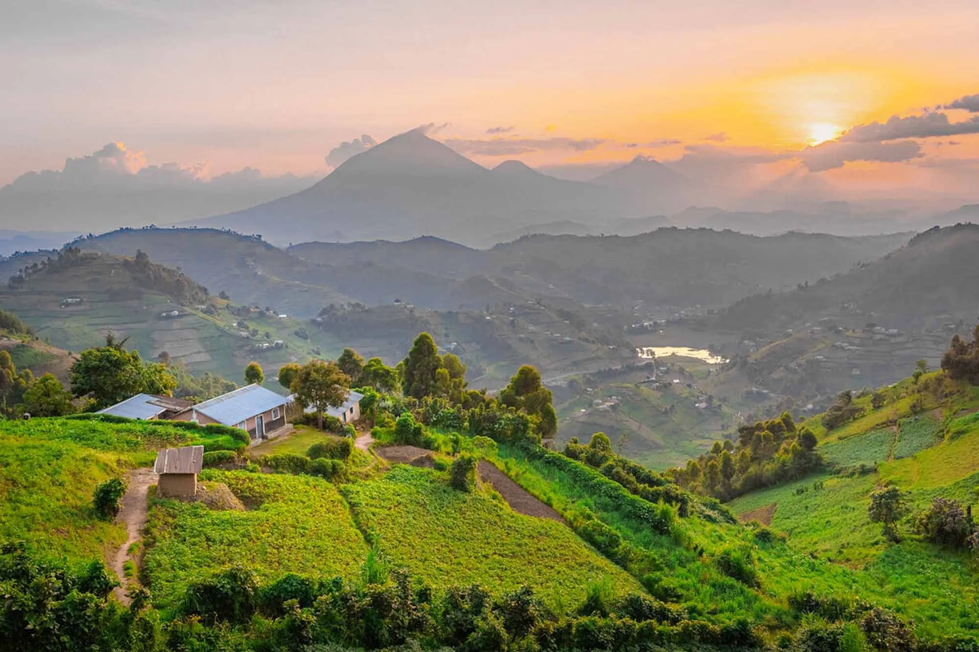 Best Time to Visit Uganda