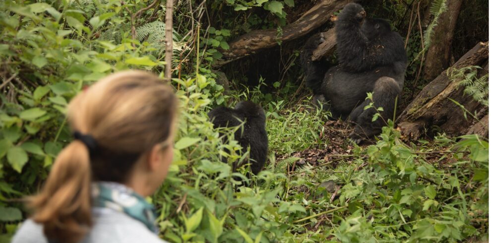 14 Days Gorilla Safari & Wildlife