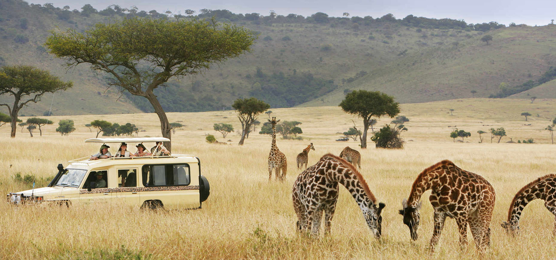 When is the Best Time to Visit Uganda