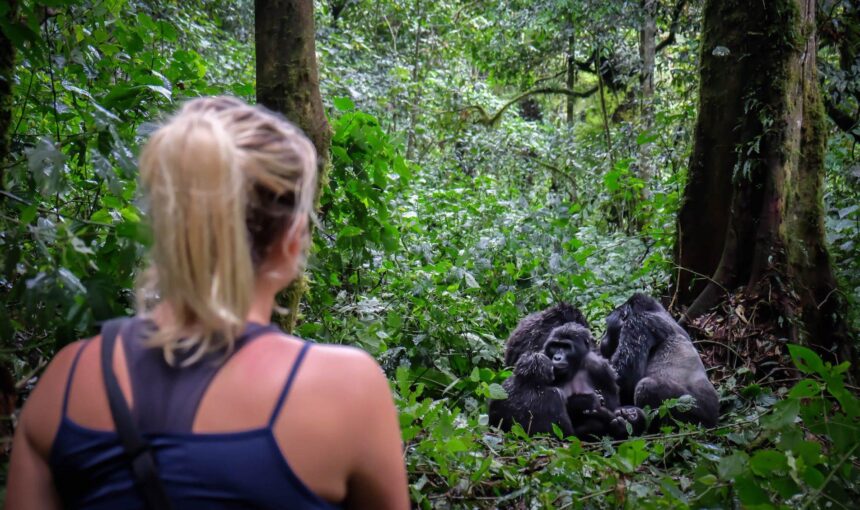 Bwindi Gorilla Trekking from Kigali