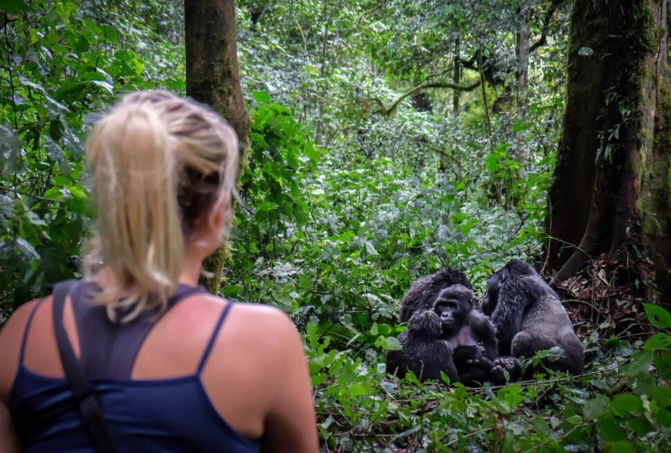 Bwindi Gorilla Trekking from Kigali