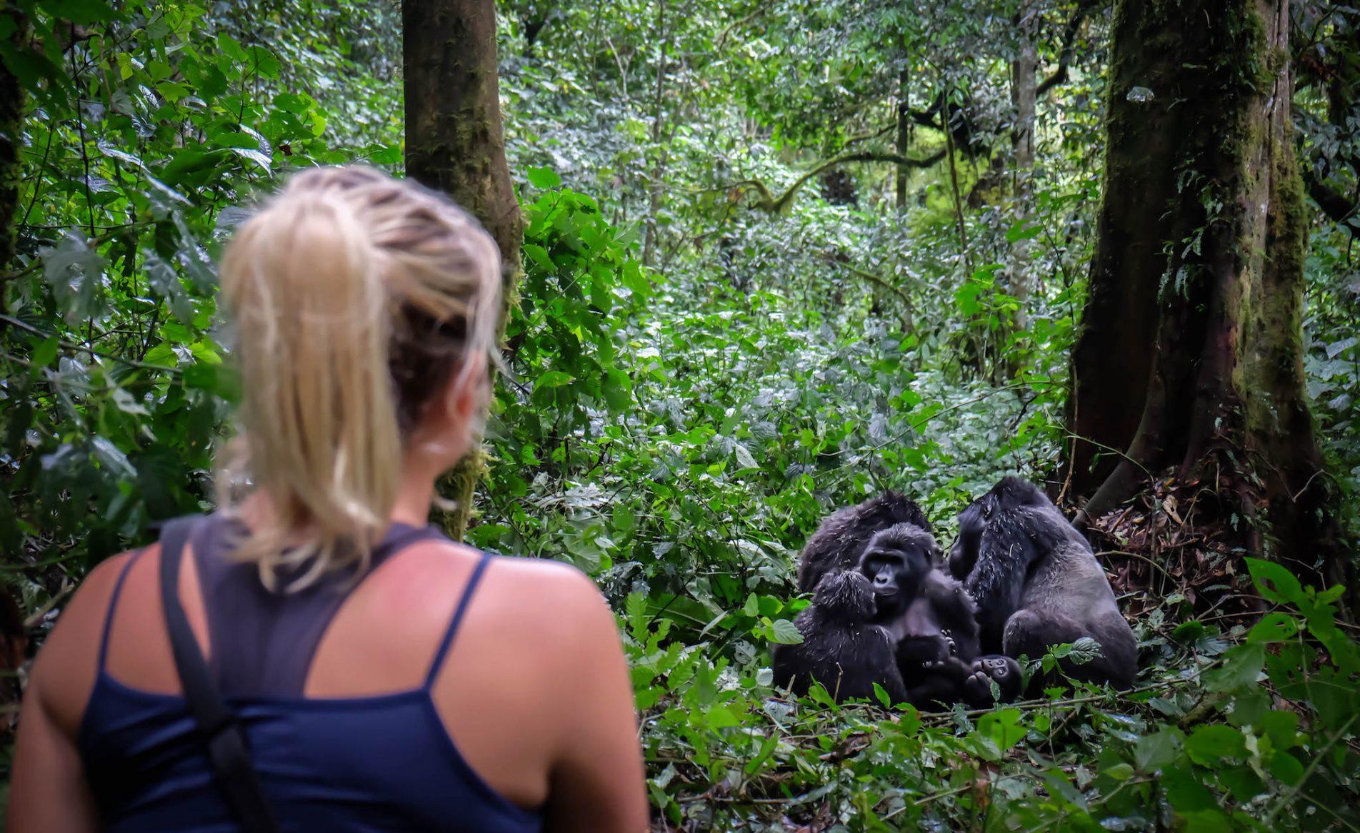 Bwindi Gorilla Trekking from Kigali