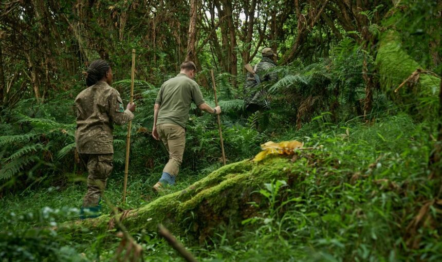 Bwindi Gorilla Trekking
