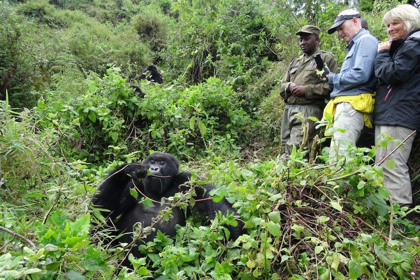 Bwindi Gorilla Trekking from Kigali Safari