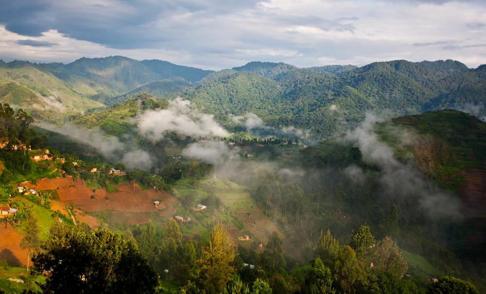 Why Bwindi Gorilla Trekking Is So Famous