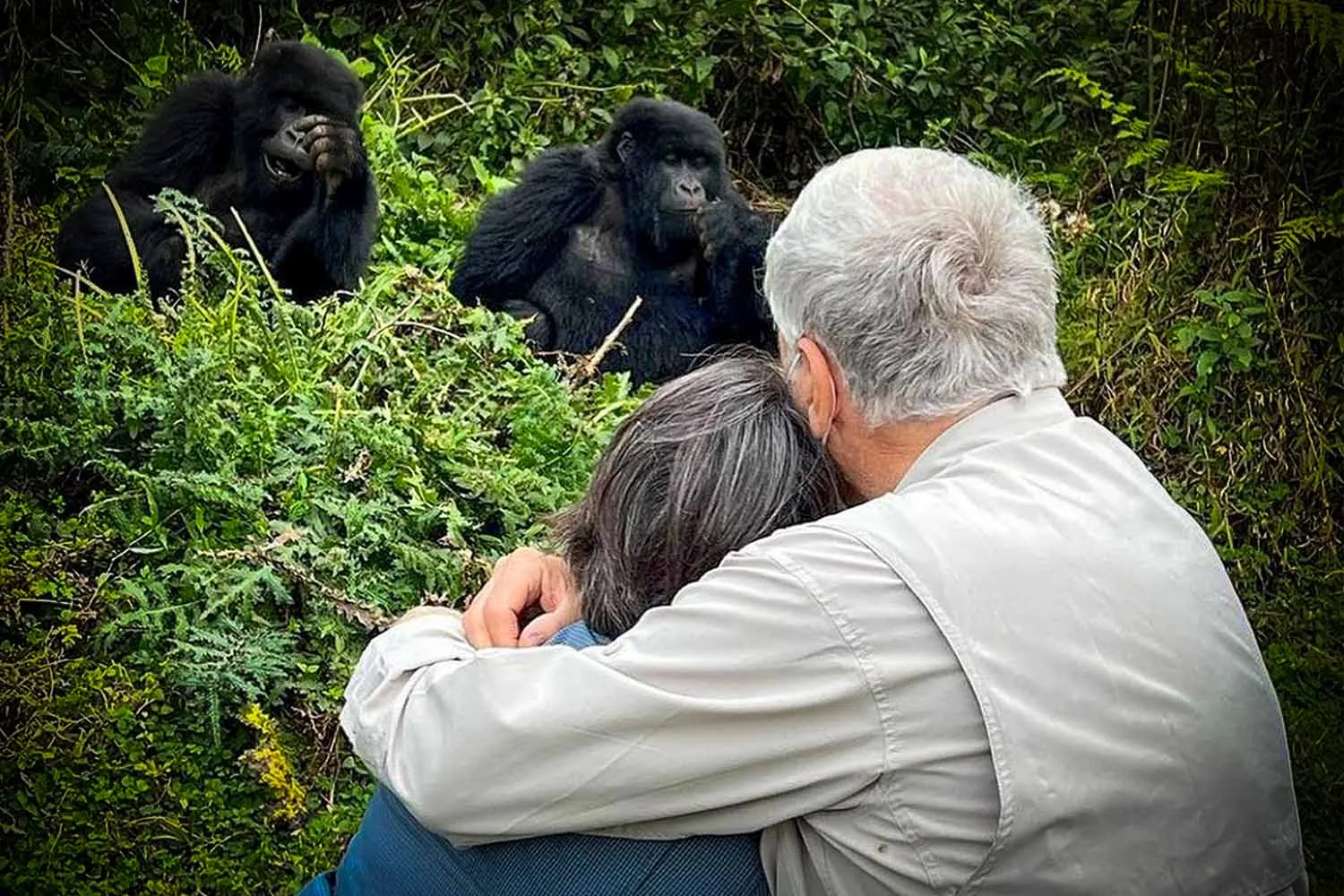 Best Time for Rwanda Gorilla Trekking Tours