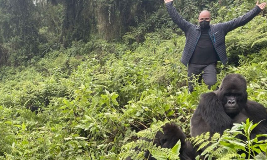 Best Gorilla Trekking Safari Uganda