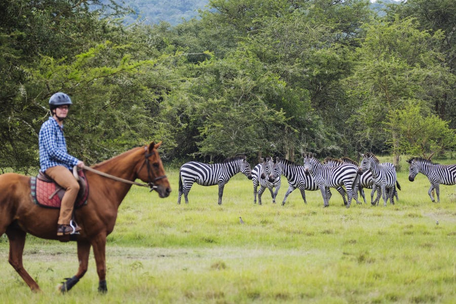 Lake Mburo National Park Uganda
