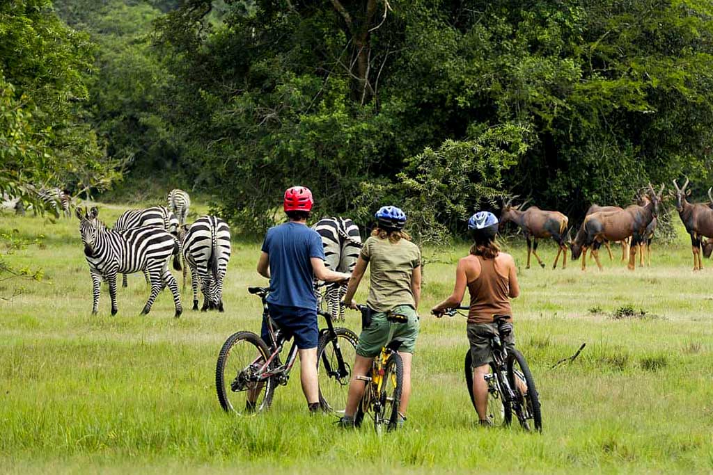 Lake Mburo National Park Activities