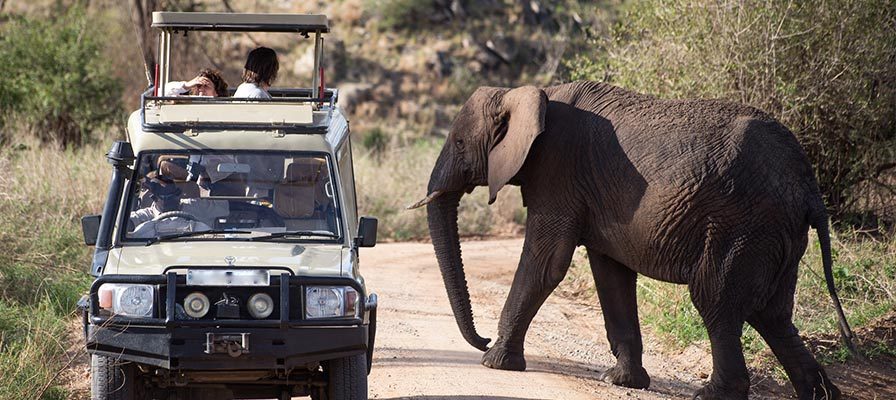 Uganda Wildlife Safaris | GoSilverback Safaris