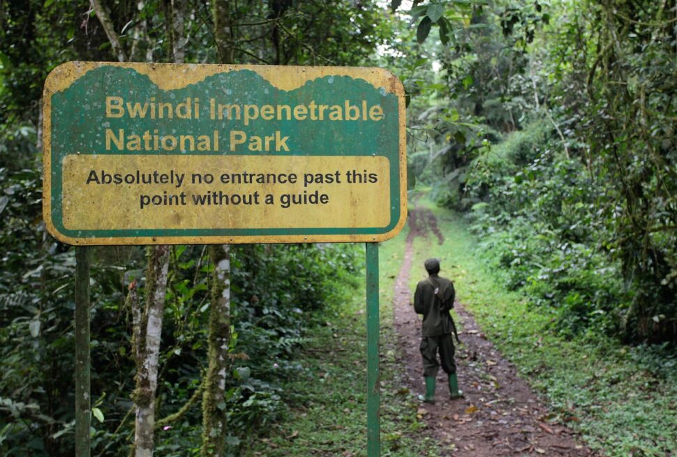 Visit Bwindi Impenetrable National Park