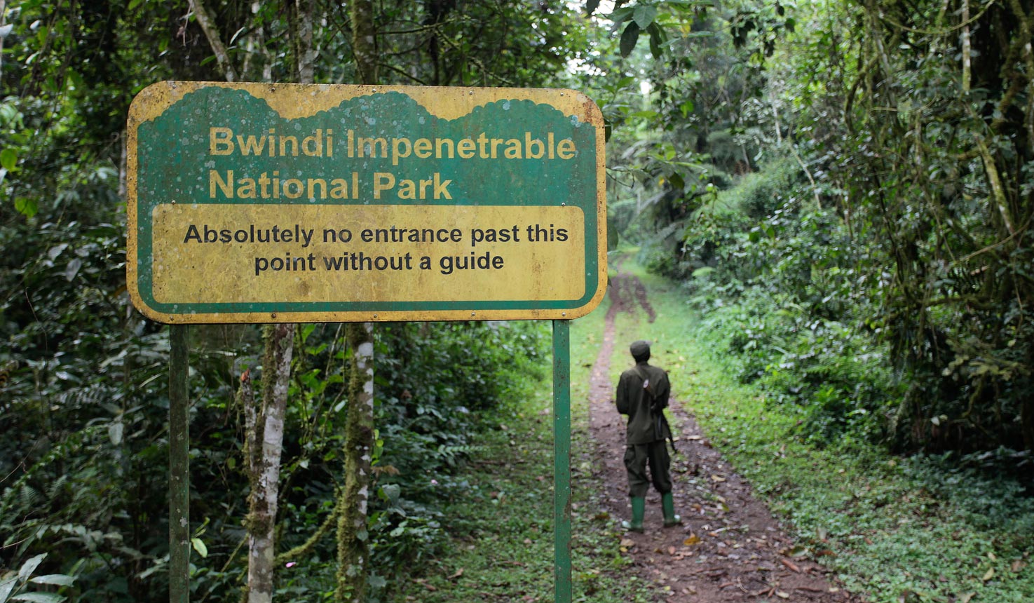 Visit Bwindi Impenetrable National Park