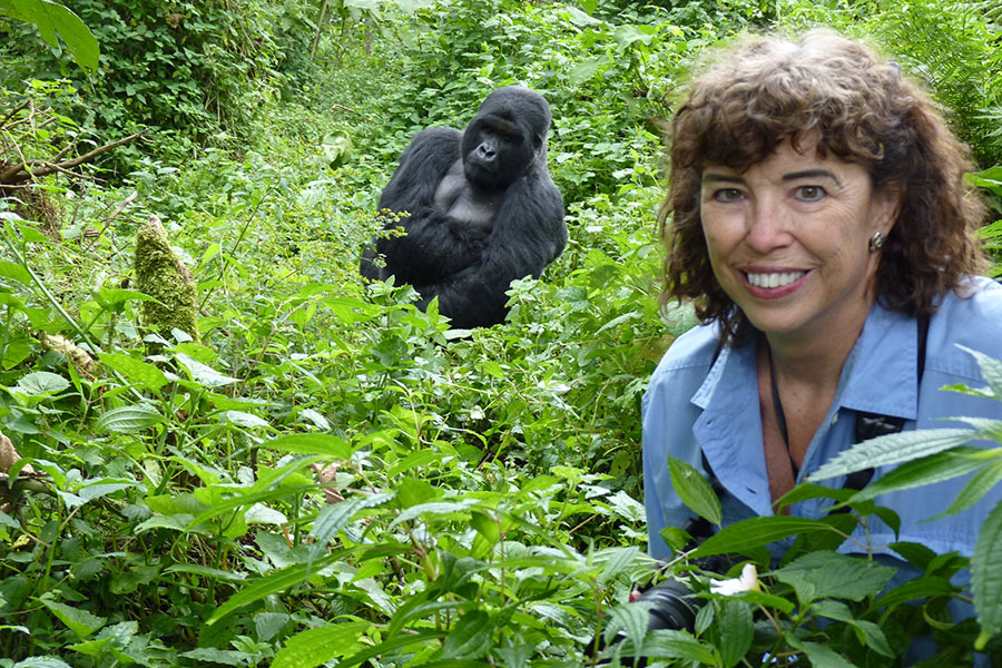 Which Country Has Better Gorilla Trekking?