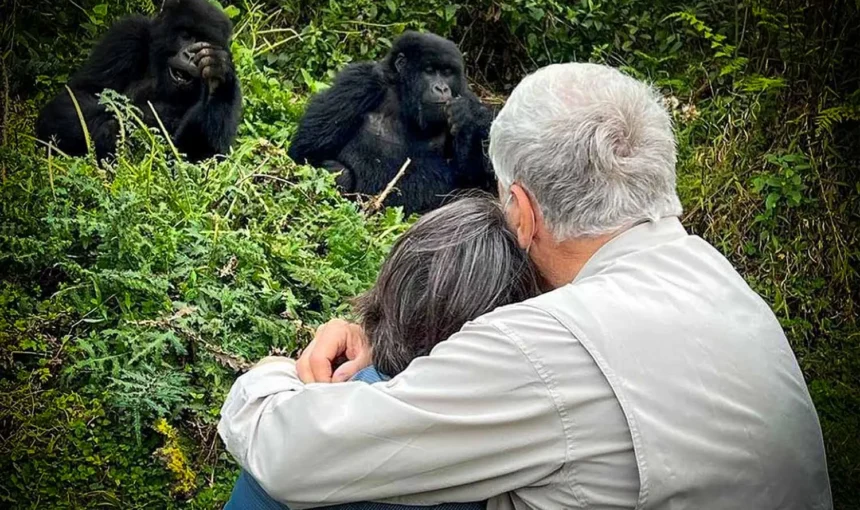 Best Tour Operator for Gorilla Trekking