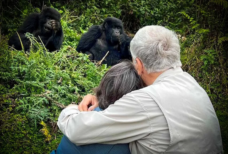 Best Tour Operator for Gorilla Trekking