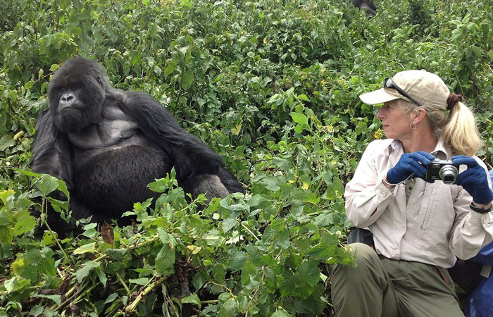 Luxury Gorilla Trekking and Wildlife Safari Combinations